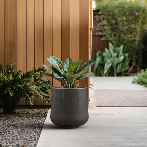 Kante 13.4" Tall Round Curved Concrete Planter, Oil Rubbed Bronze - color: Oil Rubbed Bronze, size: 11.6" D