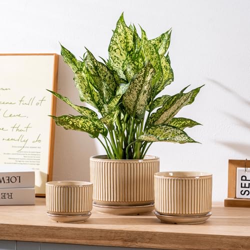 SURE YUESI Ceramic Plant Pots Set of 3, Indoor Outdoor Planters with Drainage Hole and Saucer, Ceramic Flower Pots for Indoor Plants, 4.3+5.5+6.8 Inch, Home, Garden, Patio and Office, Glossy Beige - color: Beige