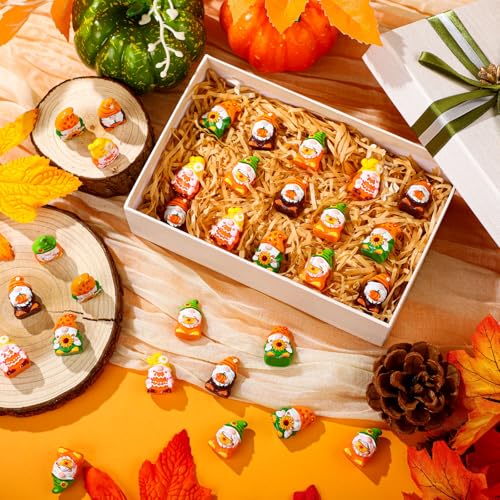 Yaomiao 60 Pcs Mini Fall Resin Gnomes Figures Thanksgiving Mini Statues - style: Fall Multi-color