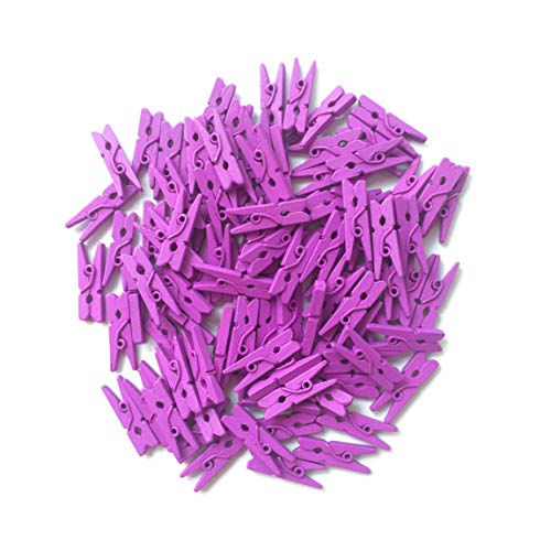 LWR CRAFTS Wooden Mini Clothespins 100 Per Pack 1" 2.5cm (Purple) - color: Purple