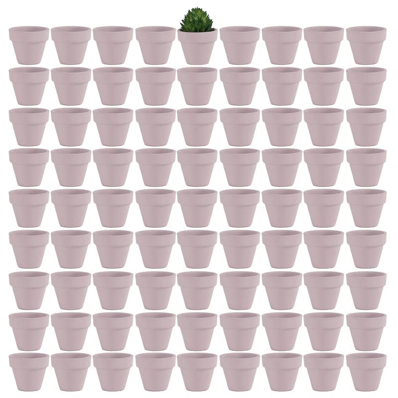 Yishang 1.9 Inch Tiny Pink Terracotta Pots Pack of 72-Small Mini White Clay Pots with Drainage Holes Flower Nursery Terra Cotta Planter for Tiny Cactus,Herb,Succulent Plants,Crafts - color: Pink