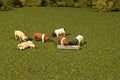 Bachmann Trains Scene Scapes Figures Pigs (7Pcs/Pack) O Scale