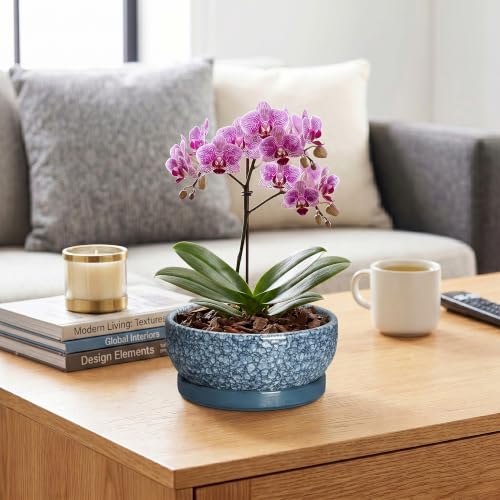 Bonsai Planter, 8 Inch Ceramic Bonsai Pots with Saucer, Scale Blue - color: Scale Blue, size: 8 Inch