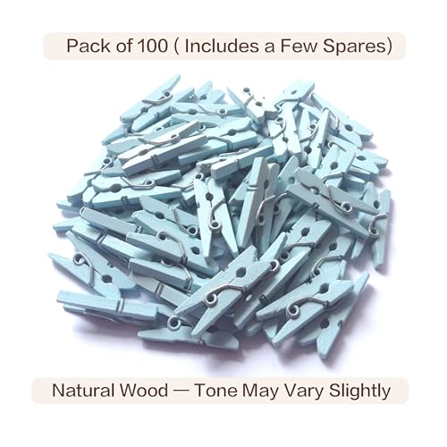 LWR CRAFTS Wooden Mini Clothespins 100 Per Pack 1" 2.5cm (Light Blue) - color: Light Blue