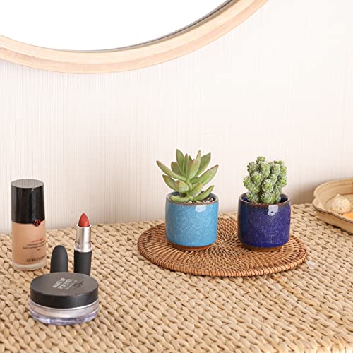 T4U Mini Succulent Pots, Small Ceramic Planters, Retro Gift Set of 12 - size: 2.4"*2.4"