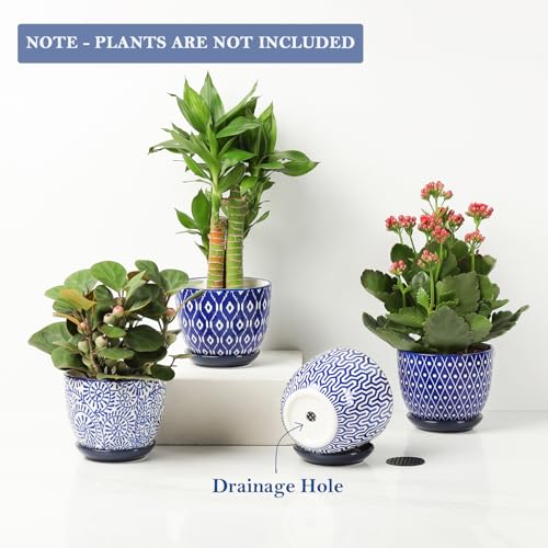 Selamica Ceramic Succulent Pots with Drainage Holes, Small Flower Pots 3.5 Inch Plant Pots for Indoor Plants with Saucers, Cactus Succulent, Home Decor, Set of 4, Vintage Blue - color: Vintage Blue, size: 3.5 Inch, Set of 4