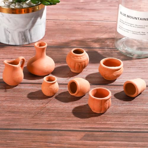 ONEST 12 Pieces Miniature Tiny Clay Pots Mini Flower Pottery Planter for DIY Garden Plants Office Home Decoration - color: 12 Pieces Mix