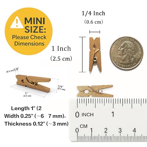 LWR CRAFTS Wooden Mini Clothespins 100 Per Pack 1" 2.5cm (Golden) - color: Golden