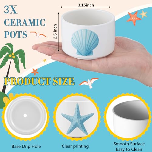 Jingmore 3 Pcs Ocean Theme Succulent Planter, Ceramic Gift for Women - style: Ocean