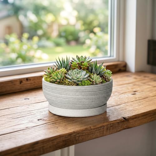 6 Inch Ceramic Succulent Planters with Saucer, Brushed Grey - color: Brushed Grey, size: 6 Inch