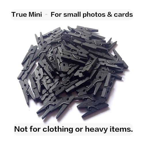 LWR CRAFTS Wooden Mini Clothespins 100 Per Pack 1" 2.5cm (Black) - color: Black
