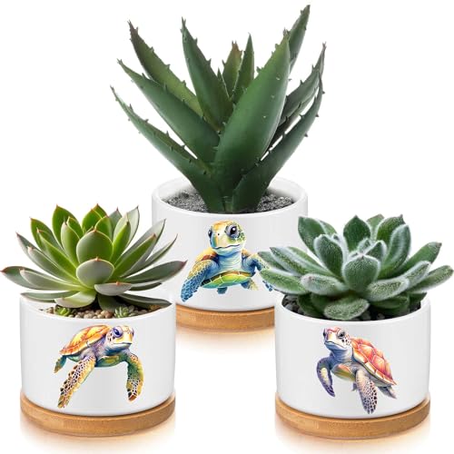 Jingmore 3 Pcs Sea Turtle Succulent Planter, Ceramic Gift for Women - style: Sea Turtle