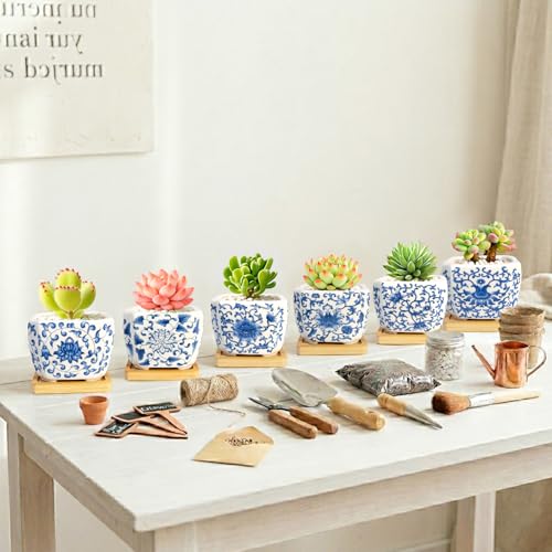 Succulent Pots - 3.1" Succulent Planters with Drainage and Bamboo Trays, Ceramic Flower Pots for Indoor Plants, Small Succulent Pots for Cactus, Home Office Desk Decor, Set of 6 - color: Blue-porcelain-square
