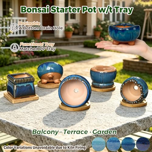 MUZHI 5PACK Glazed Bonsai Planter 3" Small Succulent Pots, RoundYixing Zisha Decorative Mame Bonsai Training Pot or Square Small Flower Cactus Starter Growing Planters Blue (5pcs Pots with Trays) - color: 5pcs Pots With Trays