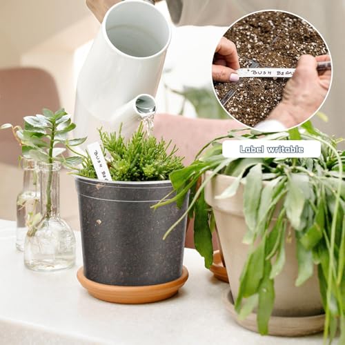 VOKOY 40 Pack 5/4/3/2.75 Inch Clear Nursery Pots with 40 Plant Labels, Clear Plant Pots with Drainage Hole Plastic Transparent Variety Pack Garden Flower Seedling Pot Small Planter Containers - size: 5/4/3/2.75 Inch - 40pcs
