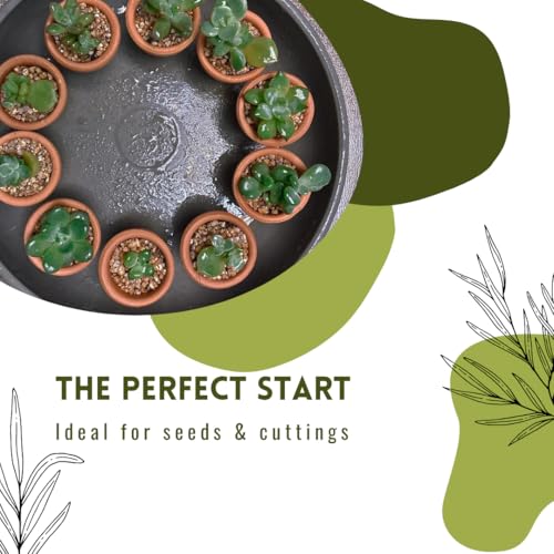 Mini Terracotta Pots – Small Clay Flower Pots for Succulents, Cactus, DIY Crafts, Fairy Garden, School Projects, Mini Planters, Set of 30 (Classic Cylinder, 1.2 Inch) - size: 1.2 Inch, style: Classic Cylinder
