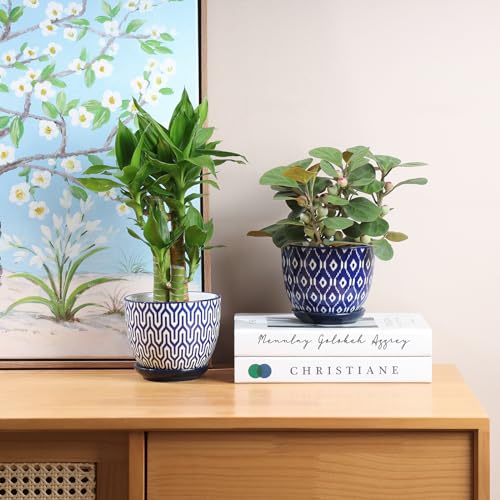 Selamica Ceramic Succulent Pots, 4.6 Inch Small Plant Pots with Drainage Holes & Saucers, Succulent Planters for Indoor Plants Cactus, Home Decor, Set of 6, Vintage Blue - color: Vintage Blue, size: 4.6 Inch, Set of 6