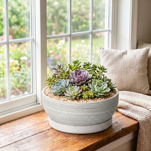 10 Inch Ceramic Bonsai Tree Pots with Saucer, Brushed Grey - color: Brushed Grey, size: 10 Inch