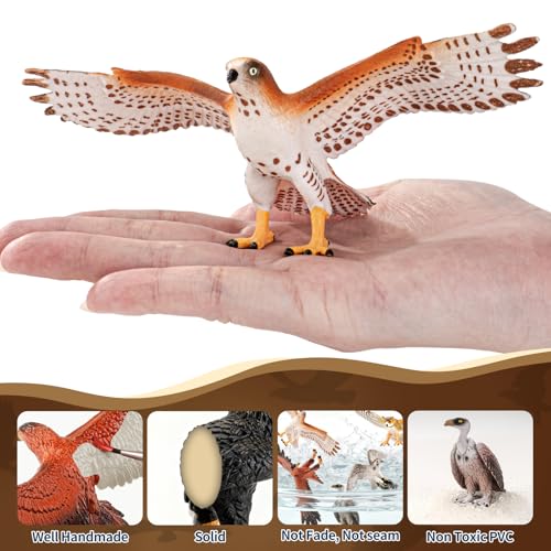6PCS 6" Large Birds of Prey Animal Figurines,Include Hawk,Eagle,Owl,Falcon & Vulture Figures,Solid Plastic Zoo Animal Models Toys, Birthday Gift Cake Toppers Party Favors for Boys Girls - style: Realistic
