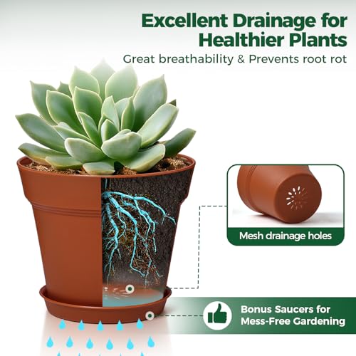 T4U Flower Pots for Indoor Plants 5 Inch with Saucer, Plastic Plant Pot - color: Terracotta, size: 5 In