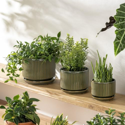 SURE YUESI Ceramic Plant Flower Pots for Indoor Plant, 4.33"+5.5"+6.88", Set of 3, Orchid Pot with Drainage Hole, Saucer and Hole Mesh Pad for Succulents, Herbs and African Violet (Light Green) - color: Light Green