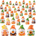 Yaomiao 60 Pcs Mini Fall Resin Gnomes Figures Thanksgiving Mini Statues - style: Fall Multi-color