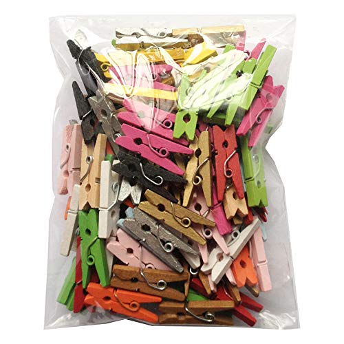 LWR CRAFTS Wooden Mini Clothespins 15 Colors 100 Per Pack 1" 2.5cm (All) - color: Multicolor