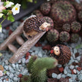 MUAMAX Miniatures Hedgehog Figurines Spring Hedgehog Decorations Spring Figurines Hedgehog Gifts,Mini Hedgehog Animals Micro Landscape Bonsai Craft Decor Miniature Garden Ornaments
