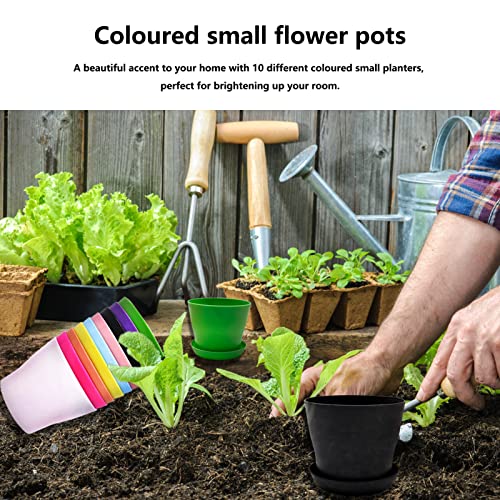 10 PCS Colorful Plastic Flower Pots, Mini Plant Pots with Drip Trays, for Seedlings Miniature Plants, Garden Office Balcony Decoration
