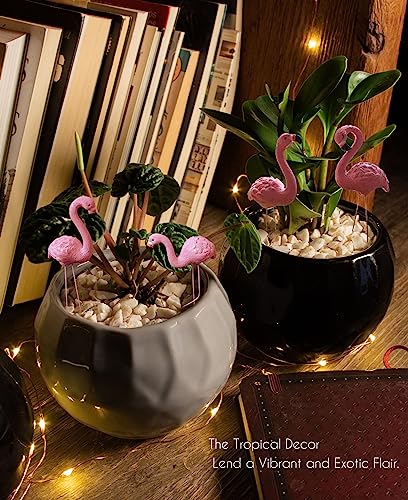 Mini Flamingos Figurines with Stakes - Set of 4 Small Flamingos Garden Gifts for Women Resin for Flower/Plant Pot Decorations - Miniature Fairy Garden