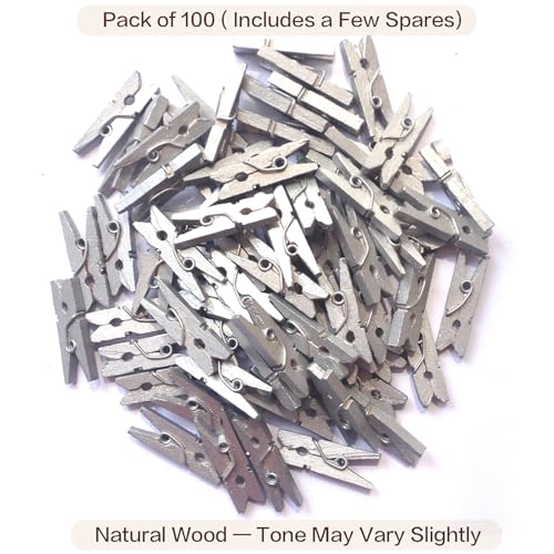 LWR CRAFTS Wooden Mini Clothespins 100 Per Pack 1" 2.5cm (Silver) - color: Silver