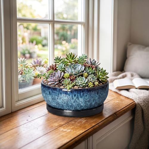 Bonsai Pots 8 Inch, Ceramic Succulent Pots with Saucer, Blue - color: Blue, size: 8 Inch