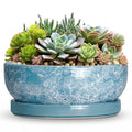 Succulent Planter, 13 Inch Ceramic Bonsai Pots, Droplet Blue - color: Droplet Blue, size: 13 Inch
