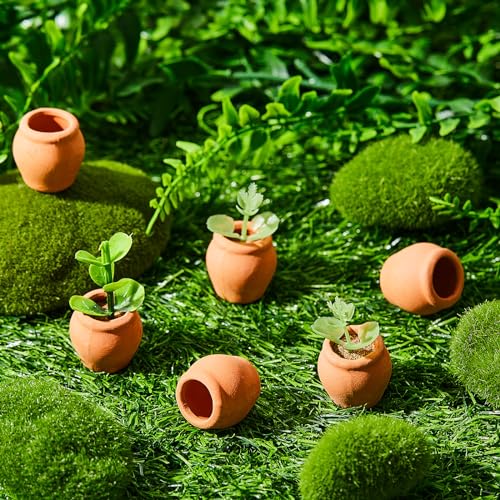 40 Pcs Mini Terracotta Clay Pots for Succulent Cactus Crafts