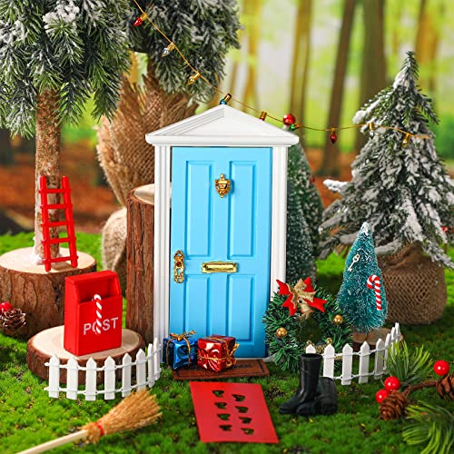 Hungdao 20 Pcs Christmas Fairy Door Wooden Miniature Decor, Blue Door - color: Blue Door