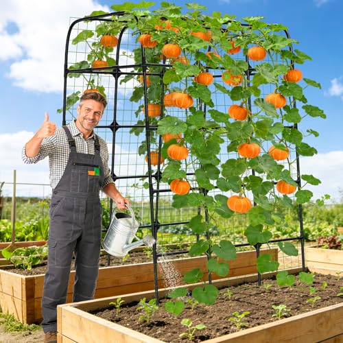 7FT Garden Trellis Arch for Climbing Plants – Tall Outdoor Metal Trellis for Vegetables, Peas, Tomatoes,﻿ Cucumber Trellis Arch & Vertical Garden Climber Plant Support for Vine Plants - size: 57.09 inch × 39.37 inch × 82.68 inch