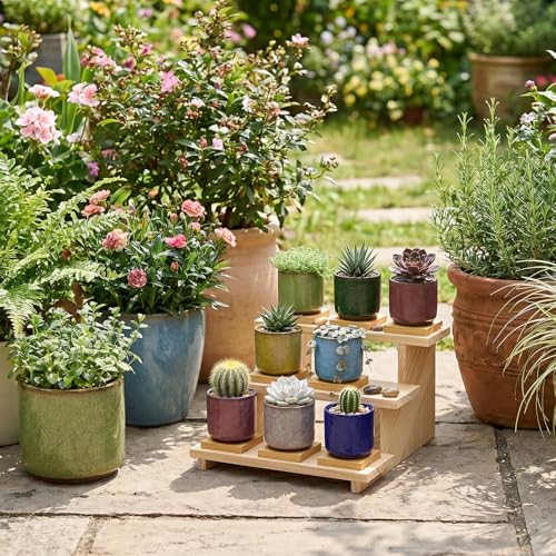 Lawei 8 Pack 2.5 Inch Mini Succulent Plant Pot with Drainage and Bamboo Tray, Small Ceramic Cactus Plant Pot, Flower Pots Faux Plants Containers for Home Garden Office Decoration(Plants NOT Included)