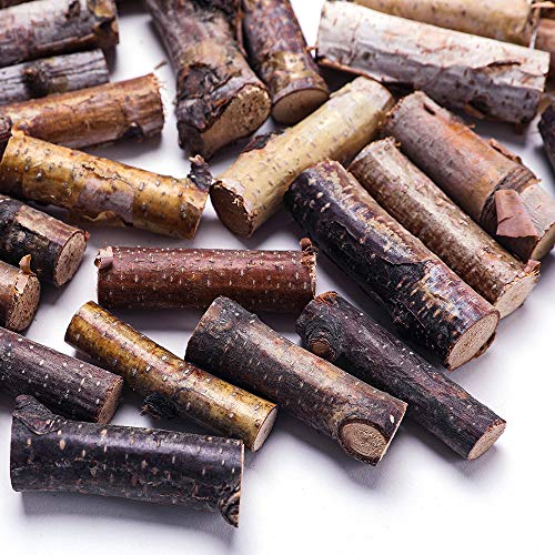 Craft Sticks, Mini Wood Log for Rustic Home Decor - Farmhouse Centerpiece Decor Twigs (Craft Sticks-)