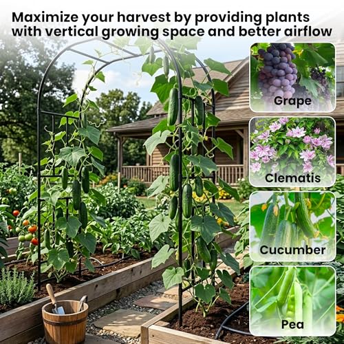 Extra Heavy Duty Garden Arch Trellis, 59.1 x 94.8 in, 1-Inch Poles - size: 59.1 x 94.8 x 19.7 Inch